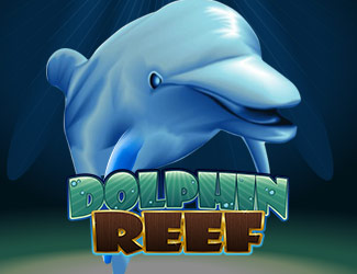 ninegames_dolphin_reef 196体育娱乐海豚乐园